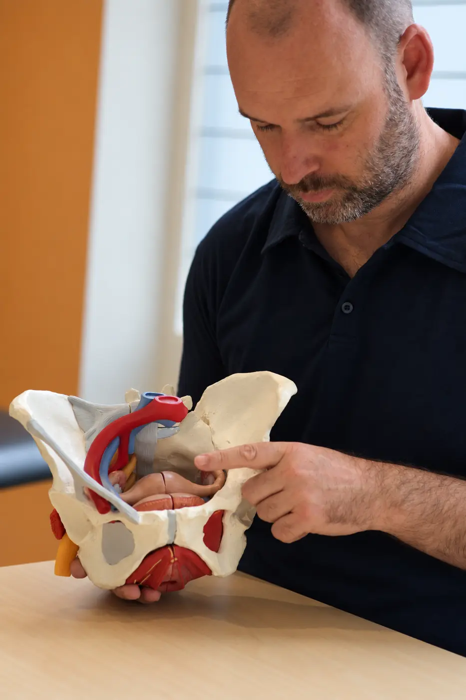Peter van de Ven geeft uitleg aan de hand van een anatomisch bekkenmodel